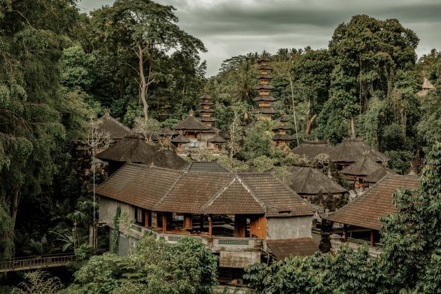 Ubud Tour